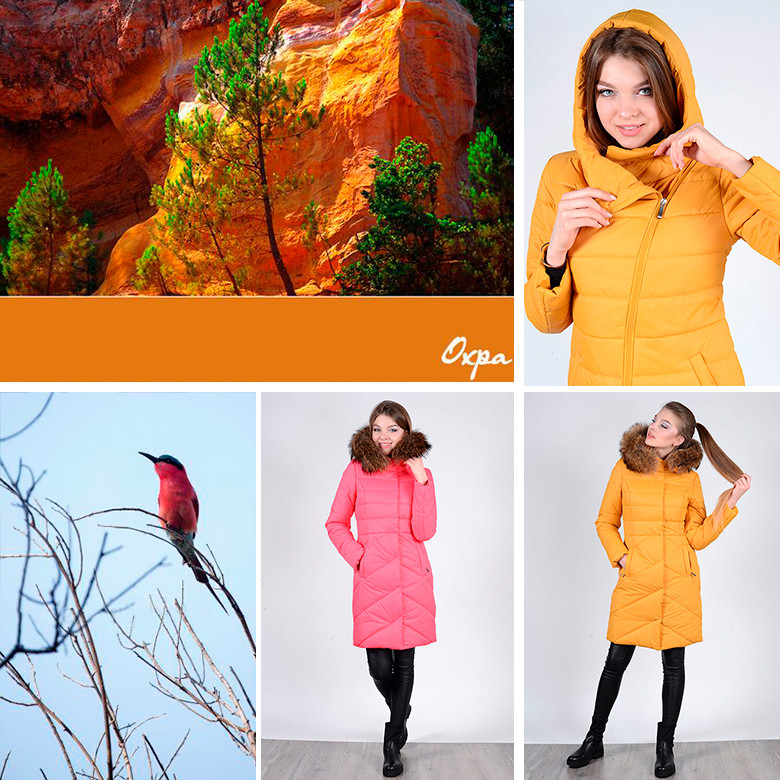 Зимние пальто в интернет-магазине женской одежды TwinMODA